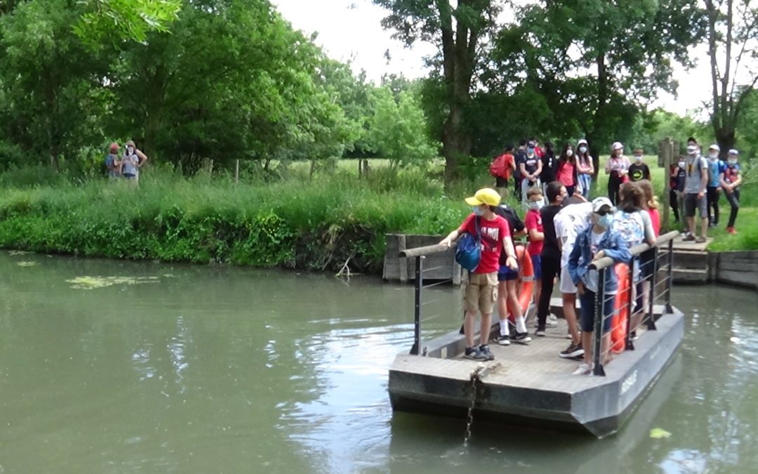 SORTIE SIXIEME DANS LE MARAIS POITEVIN