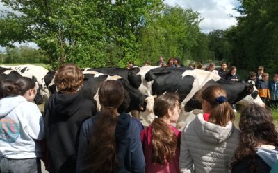 SORTIE A LA FERME DE LA DURANDIERE EN 6EMES